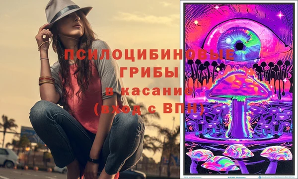 не бодяженный Алзамай