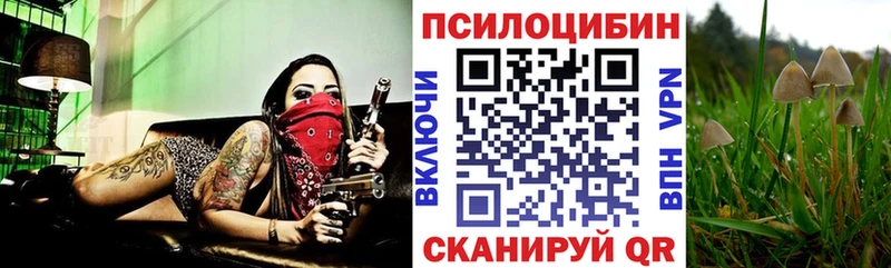 цены наркотик  дарк нет телеграм  Псилоцибиновые грибы Psilocybe  Краснотурьинск 