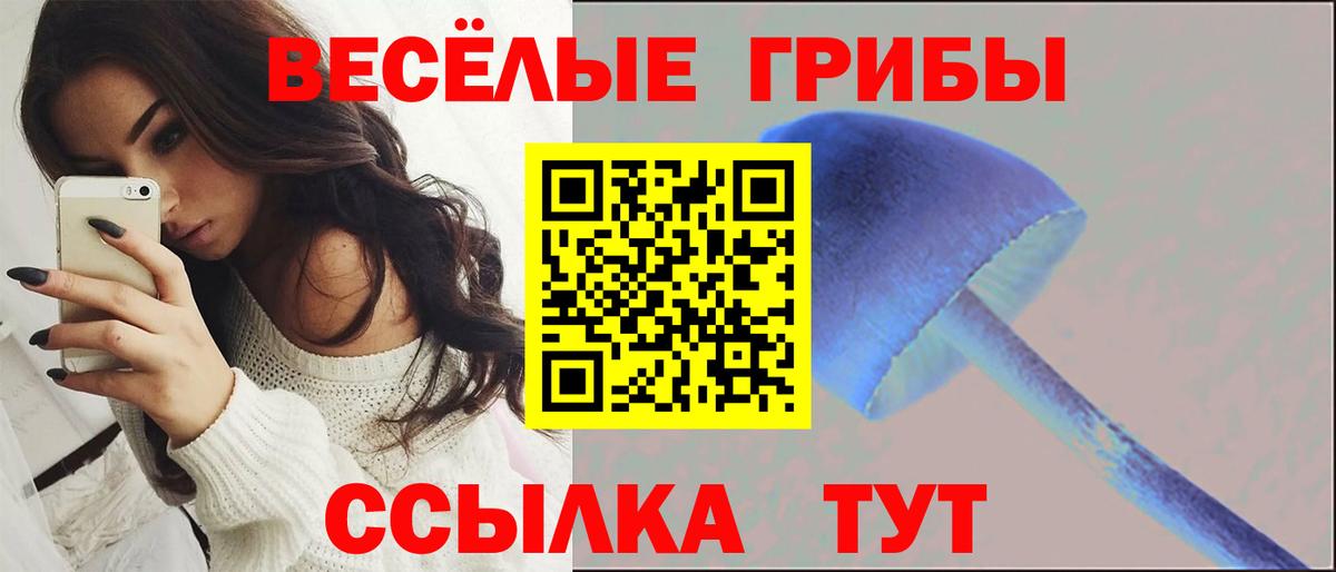 Псилоцибиновые грибы MAGIC MUSHROOMS Краснотурьинск