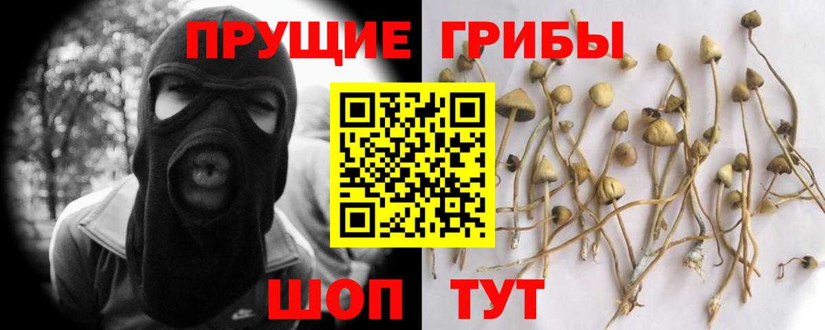 Псилоцибиновые грибы Psilocybine cubensis  Вход с VPN  Краснотурьинск 